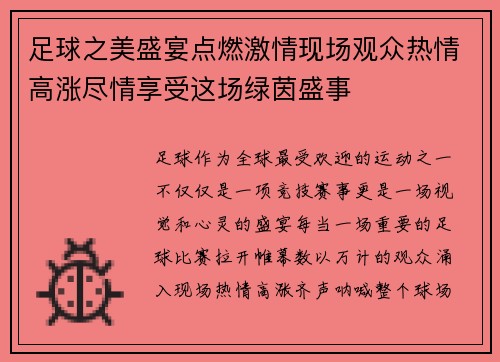 足球之美盛宴点燃激情现场观众热情高涨尽情享受这场绿茵盛事